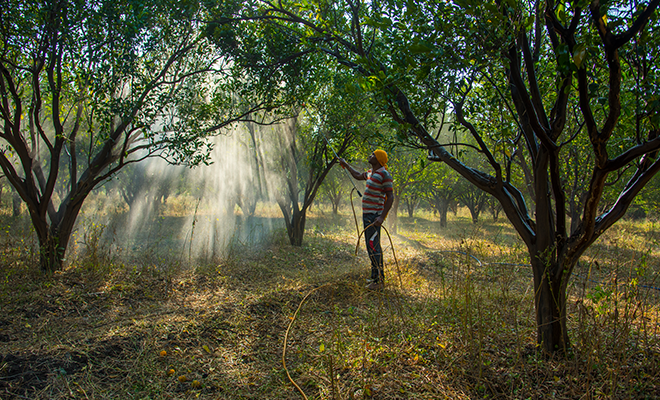 Leia mais sobre o artigo ISO 14001 e as Atividades de Mineração: Quais são os principais pontos de atenção?