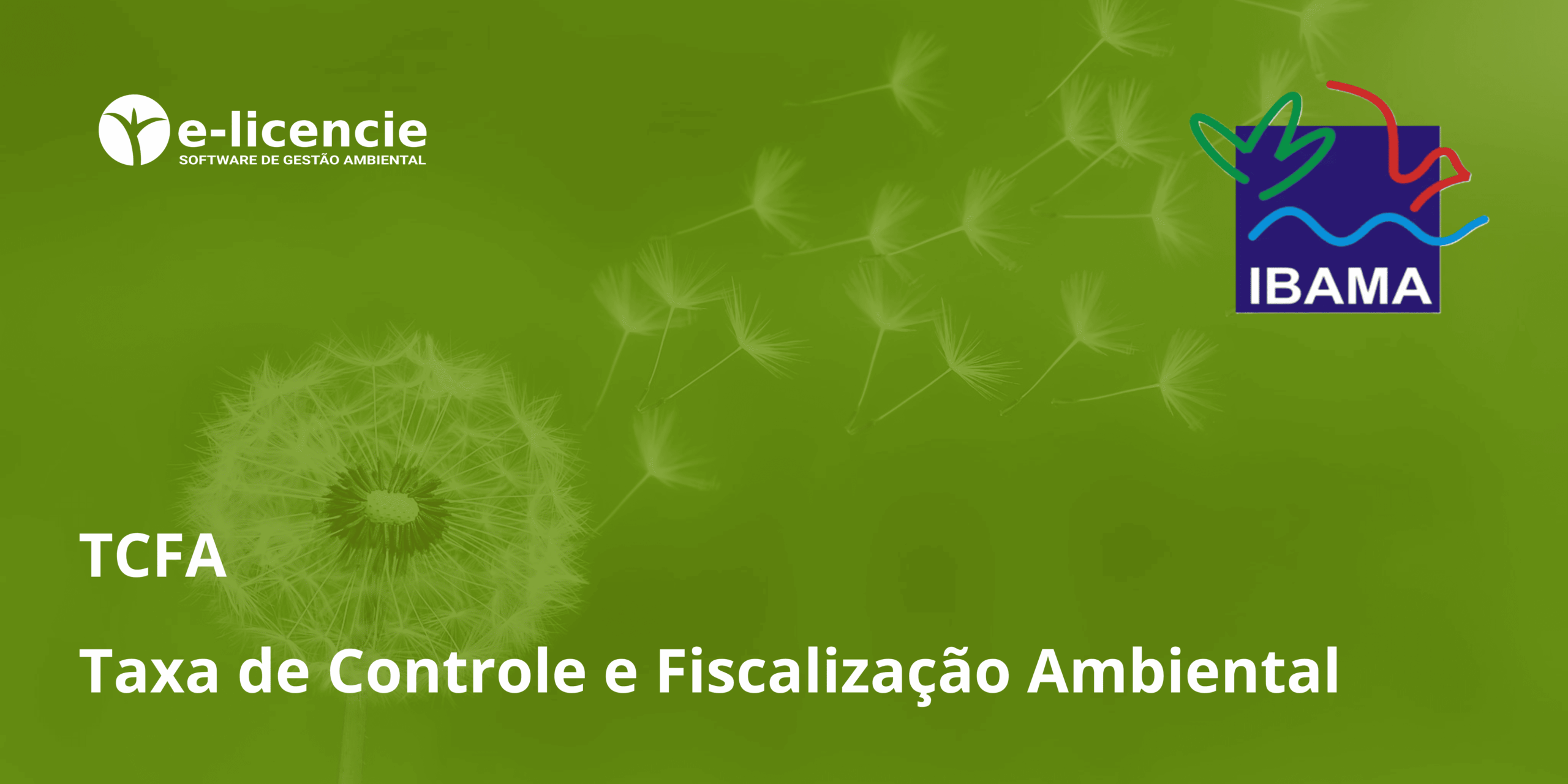 Leia mais sobre o artigo Taxa de Controle e Fiscalização Ambiental (TCFA): O que é, como funciona e por que é importante?